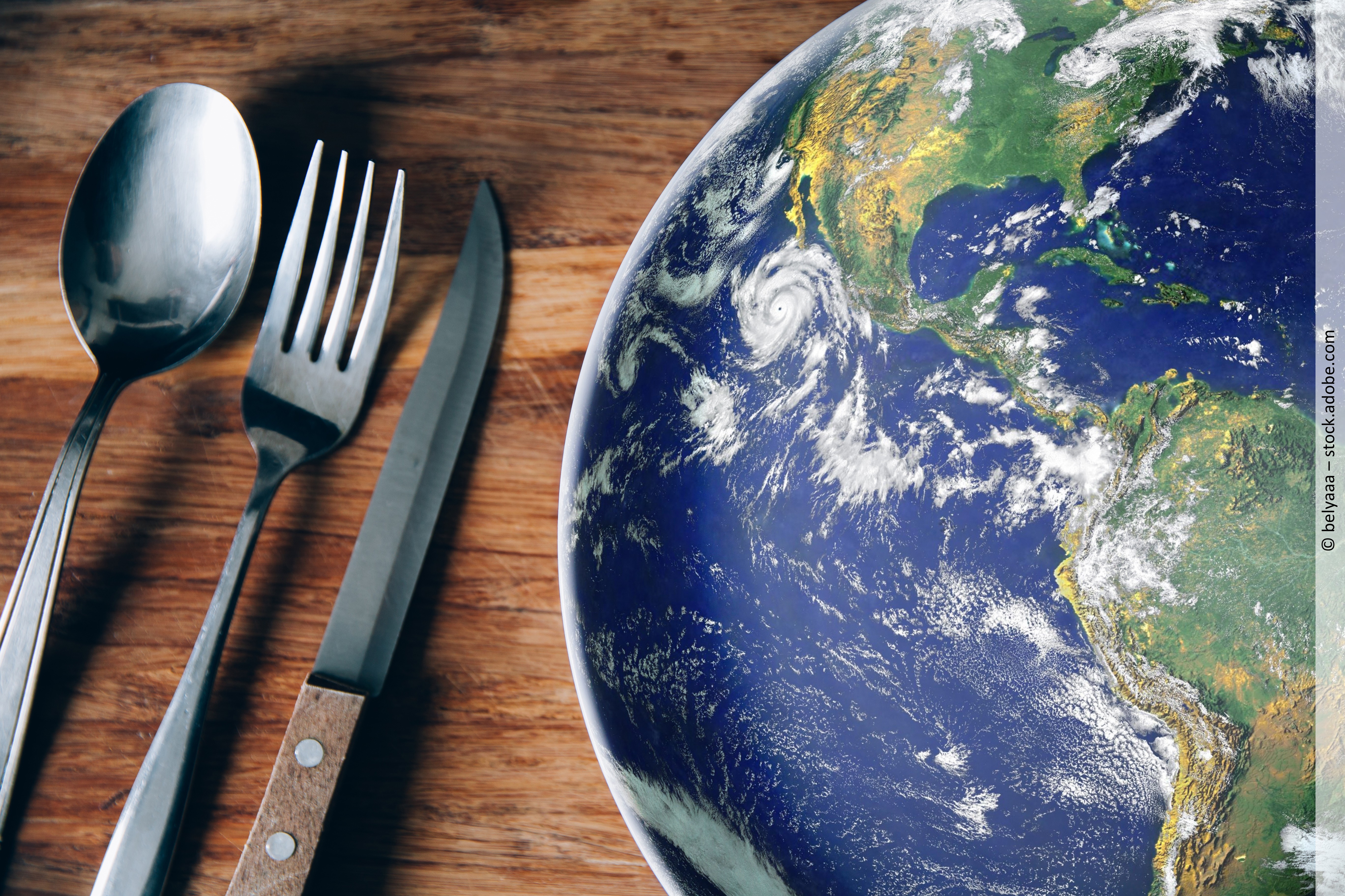 Wie die Ernährung das Klima beeinflusst