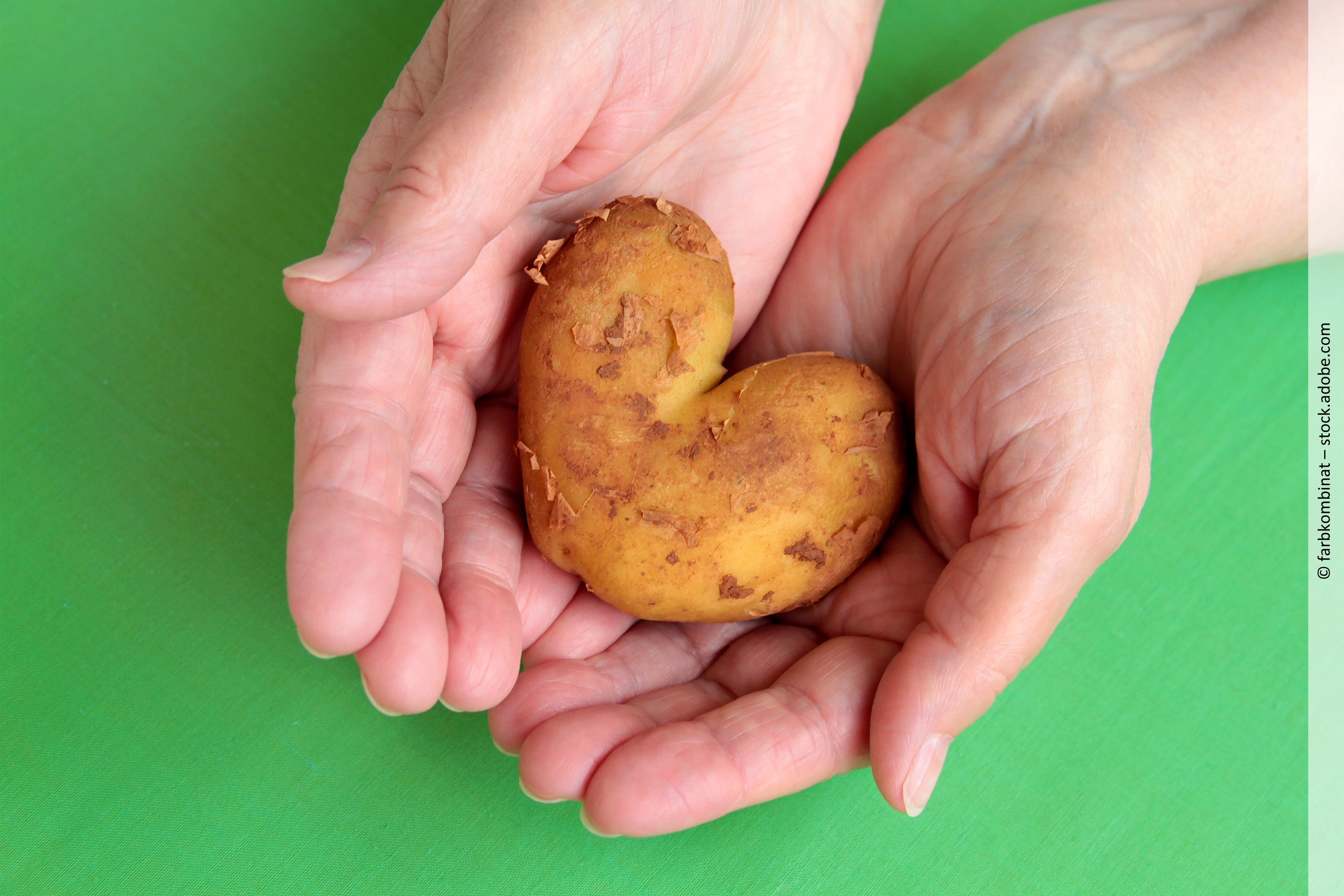 Lebensmittelverschwendung vermeiden