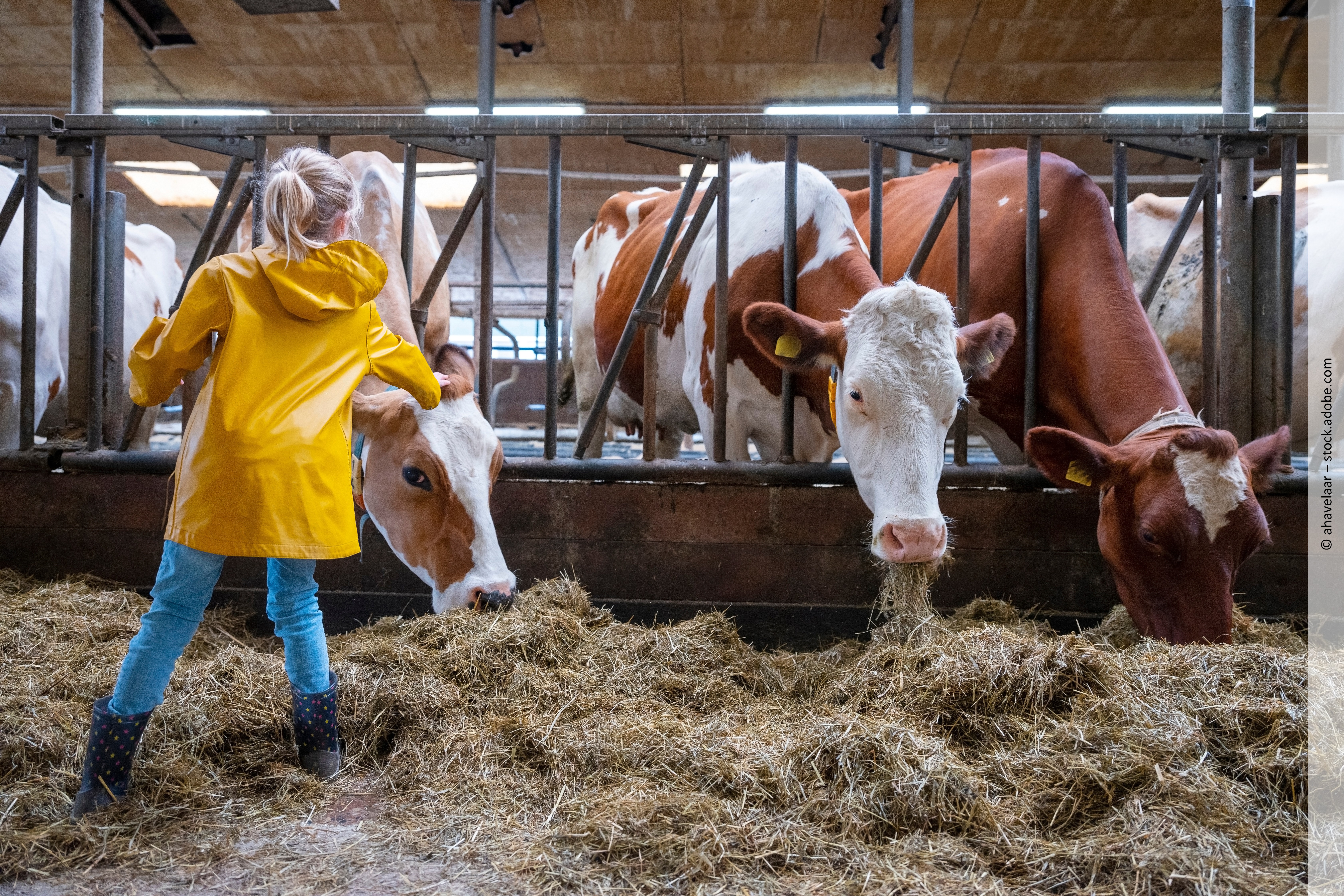 Ernährungsbildung außerhalb des Unterrichts