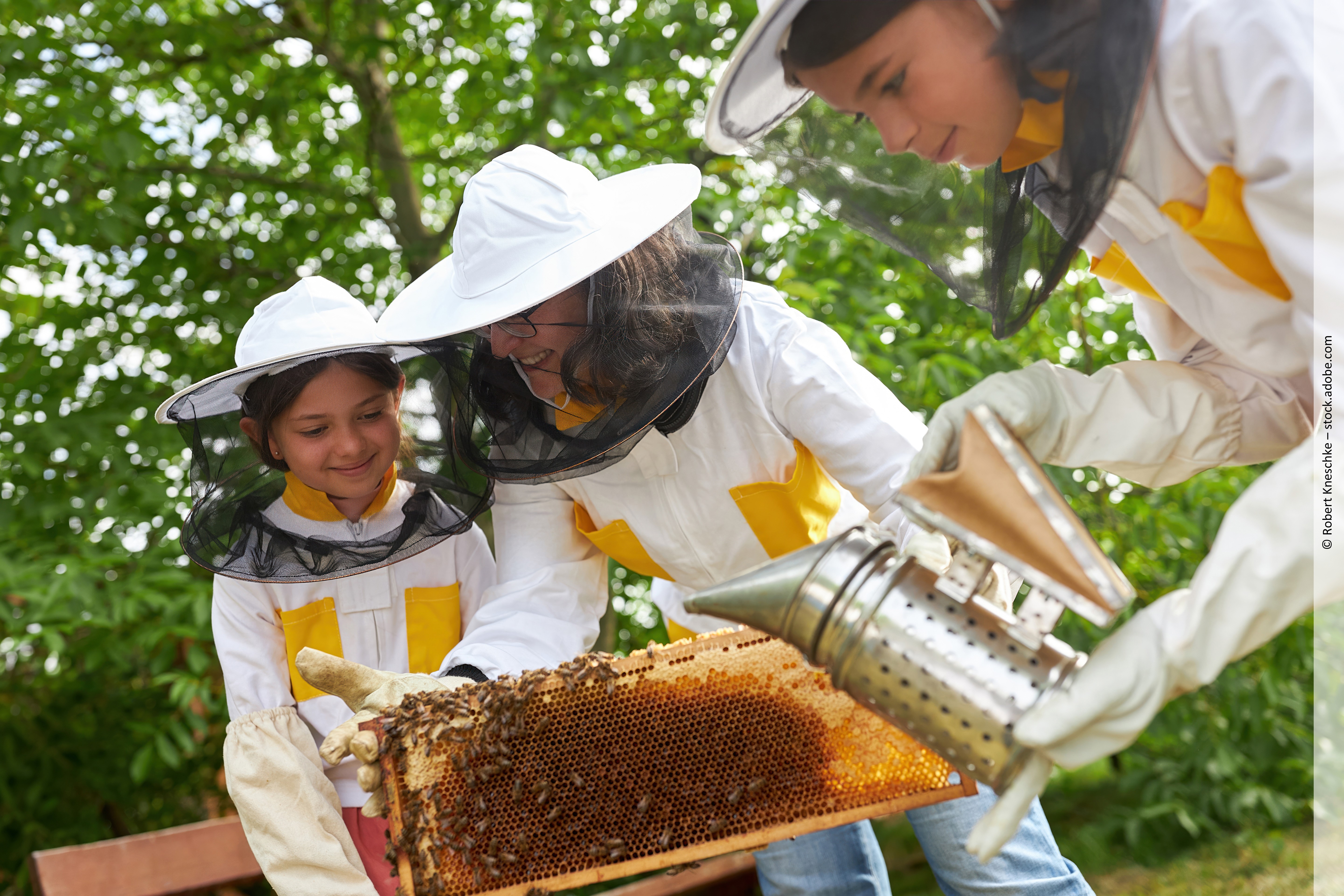 Zusammenarbeit mit außerschulischen Partnerinnen und Partnern